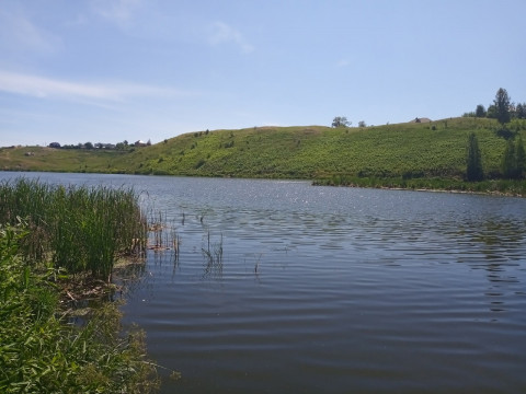 ​Воспитание души, или Внуки на каникулах