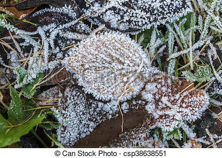 В Гидрометцентре предупредили о заморозках в некоторых регионах России