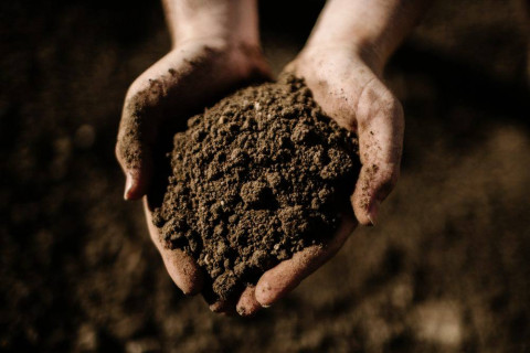 Вопрос садовода: Кто и как проверяет магазинный грунт?