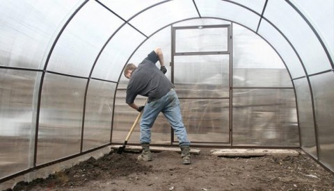 Как обработать почву в теплице?