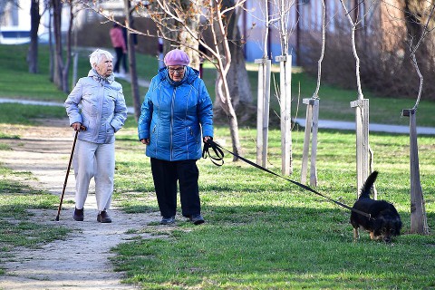 Кто сможет досрочно выйти на пенсию