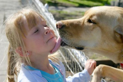 Где в квартире живут опасные бактерии