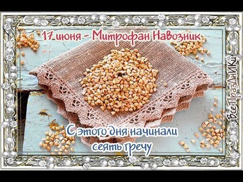 Народный календарь: ​Митрофан Навозник