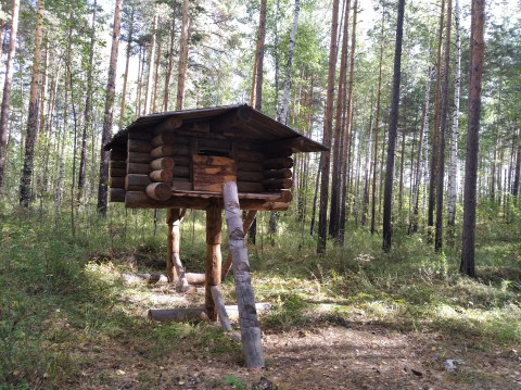 ​Какие тайны хранит «Земля предков»