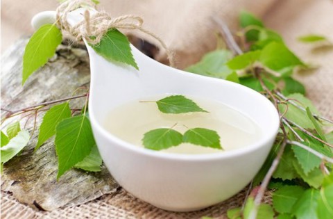 Народный календарь: ​Березосок