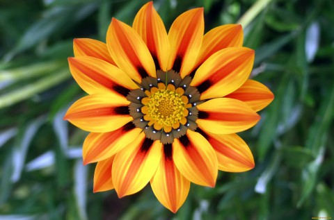 Поздравляем с днем рождения Валентина Алексеевича РАЗУМОВА Поздравляем с днем рождения Валентина Алексеевича РАЗУМОВА