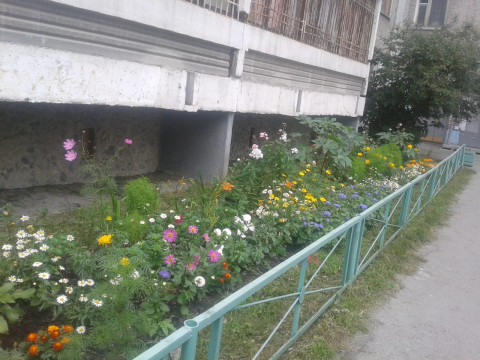 На даче у редакции, или «Мы с вами одной крови!» Часть 4. У дизайнера - красота повсюду