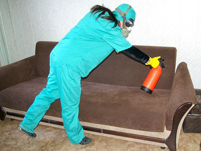 Как избавиться от клопов