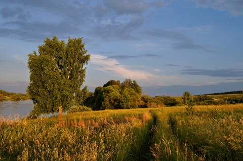 Родина Родина