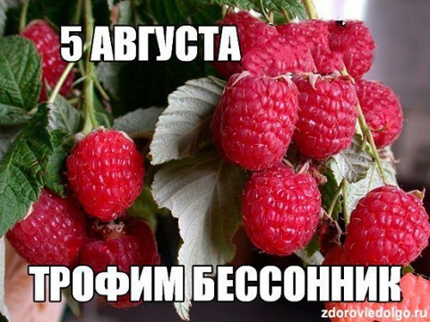 ​Народный календарь: Трофим Бессонник