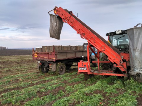 На деревне "работать и богатеть мешает только лень"!