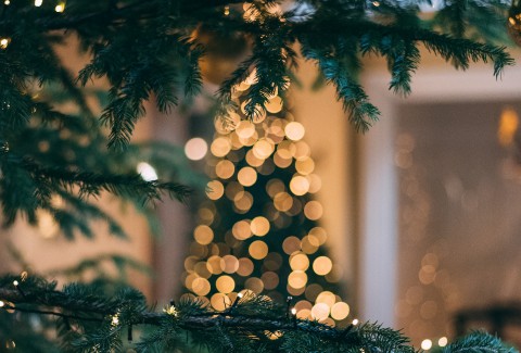 Роструд рассказал, как сделать новогодние каникулы дольше