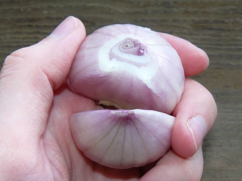 Странная луковица : откуда она взялась
