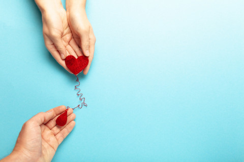 ​Сердце позвало в Донецк