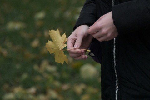 Почему в этом году начали рано желтеть листья