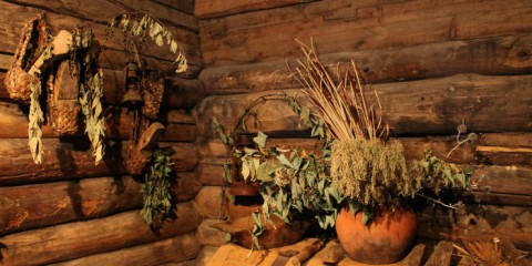 Народный календарь: ​Домна Доброродная