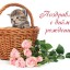 Родные и друзья поздравляют Нину Ивановну ЛИПИНУ с Днем рождения!