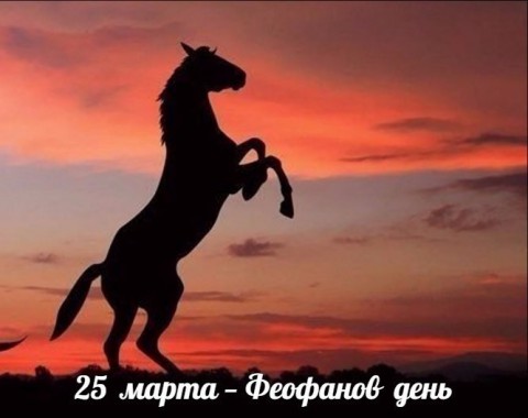 Народный календарь: ​Феофанов день