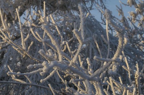 На Урал придут сильные морозы