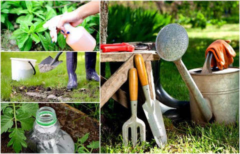 18 полезных советов для сада и огорода