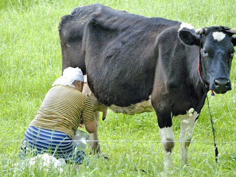 Народный календарь: ​Матфей Змеесос