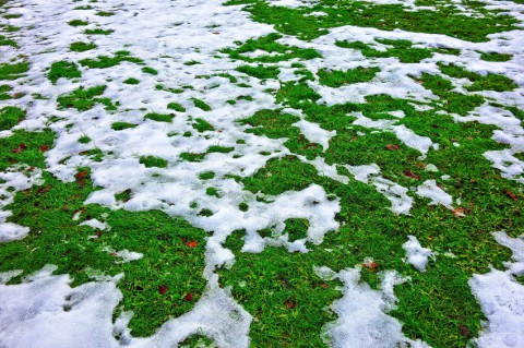 В Гидрометцентре предупредили о снеге в выходные