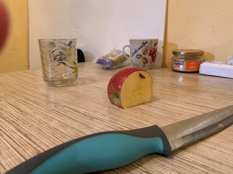 Над уральскими стариками больше не издеваются