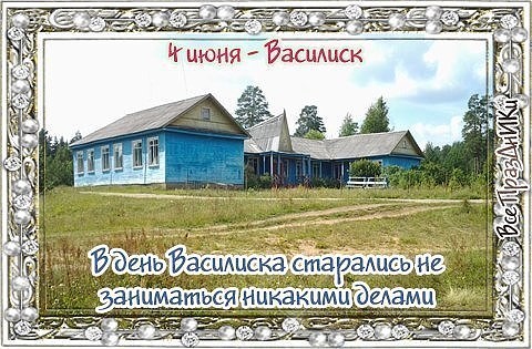 ​Народный календарь: Василиск