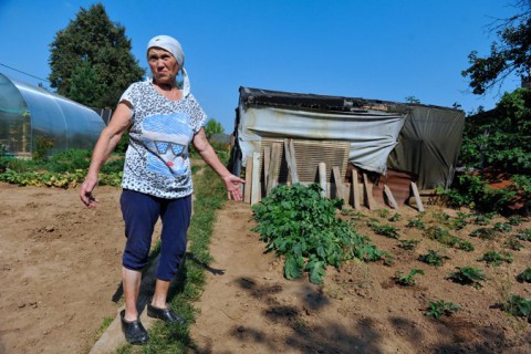 Эксперт о тонкостях "дачных" реформ