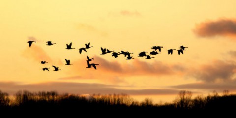 Народный календарь: ​Марк Ключник