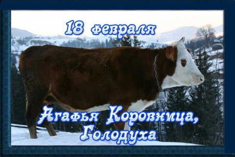 Народный календарь: Агафья Коровница