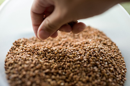 Арестован москвич, «лечивший» пенсионеров гречкой