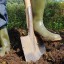 ​Здоровье на грядке: прислушивайтесь к себе!