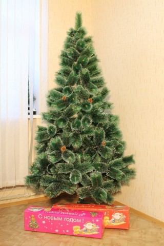 Как выбрать елку Как выбрать елку