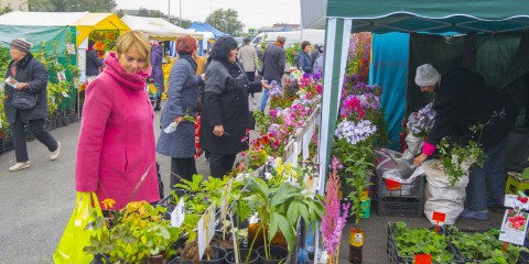 Куда спешат все уральские садоводы?