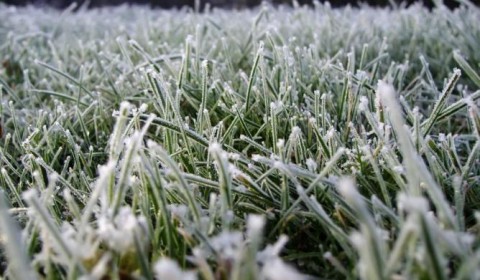 От -2 до +28: что ждать от погоды?