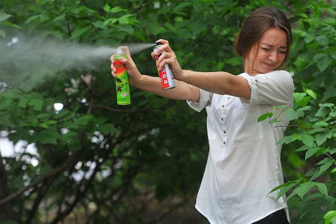 Аллергия на укусы комаров и мошек. Как лечить?