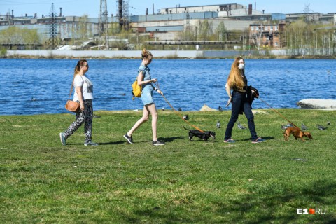 Что с 19 мая разрешат делать свердловчанам на самоизоляции?