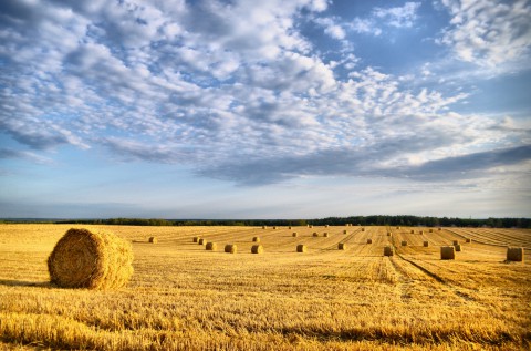 ​Магнитные бури в августе-2020