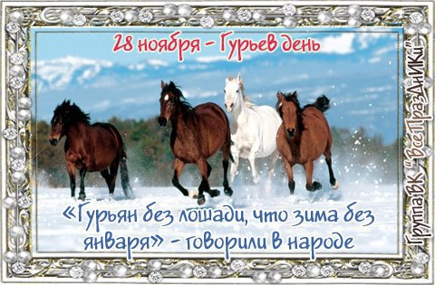 ​Народный календарь: Гурьев день