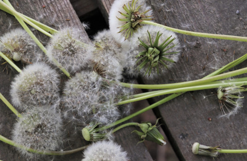 Как избежать ухудшения состояния при аллергии?