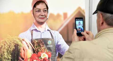 Россияне стали чаще добровольно отказываться от пенсии