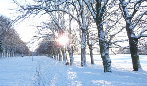 Уральцам обещают на выходных потепление и снег
