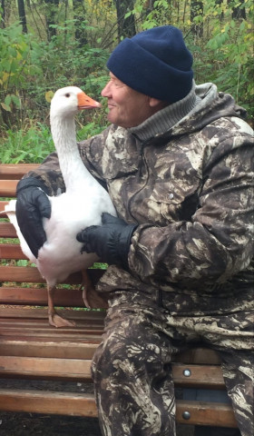 Какого необычного домашнего питомца завел себе пенсионер