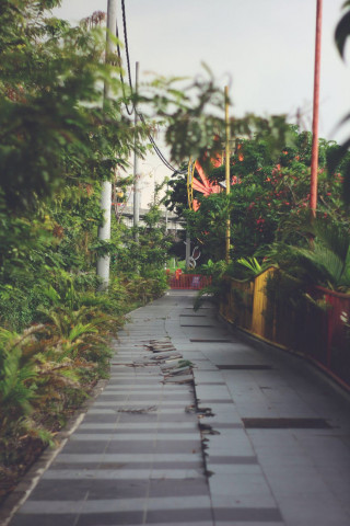 ​Чиновник простому человеку – волк. Особенно, если человек - садовод