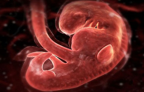 Кардиолог: Берегите свое сердце!