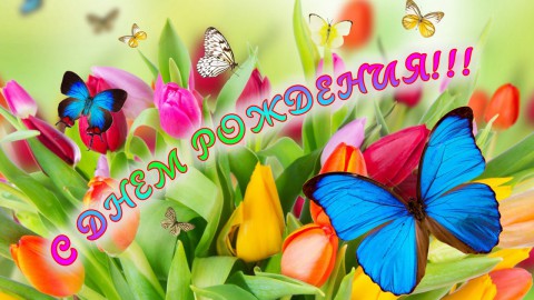 Поздравляю с 55-летием Галину Владимировну ДЕВЯТЫХ Поздравляю с 55-летием Галину Владимировну ДЕВЯТЫХ