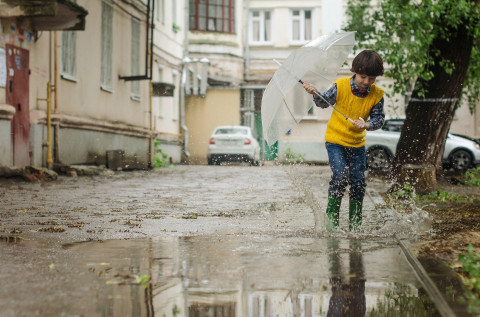 Как добиться порядка во дворах и подъездах?