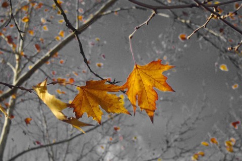 Народный календарь: ​Иванов день (Проводы осени)