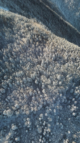 ​Зачем нам дальневосточный гектар? Отвечает уральский пенсионер